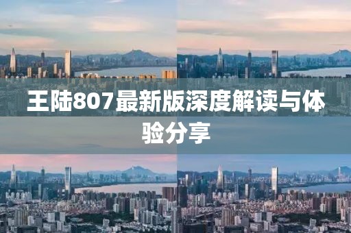 王陆807最新版深度解读与体验分享