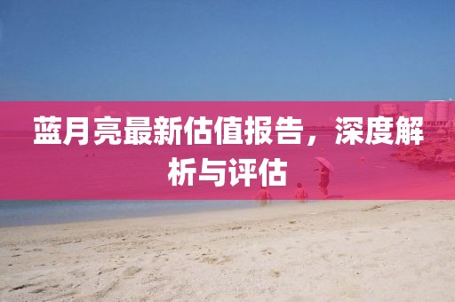 蓝月亮最新估值报告，深度解析与评估