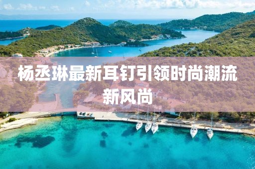 杨丞琳最新耳钉引领时尚潮流新风尚