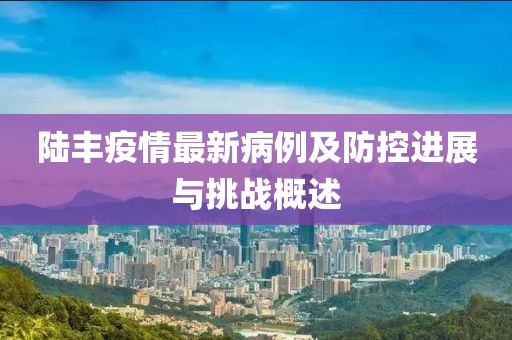 陆丰疫情最新病例及防控进展与挑战概述