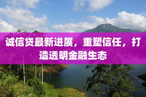 诚信贷最新进展，重塑信任，打造透明金融生态