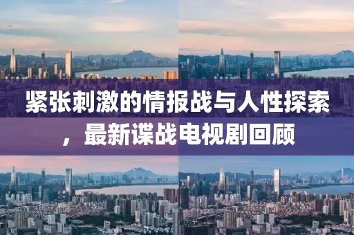 紧张刺激的情报战与人性探索，最新谍战电视剧回顾