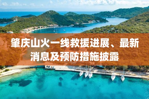 肇庆山火一线救援进展、最新消息及预防措施披露
