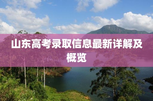 山东高考录取信息最新详解及概览