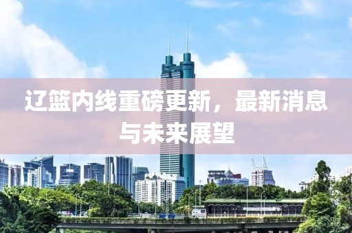 辽篮内线重磅更新，最新消息与未来展望