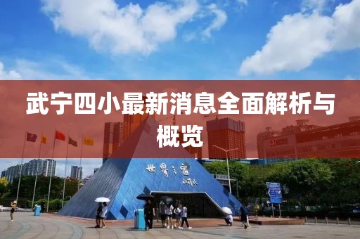 武宁四小最新消息全面解析与概览