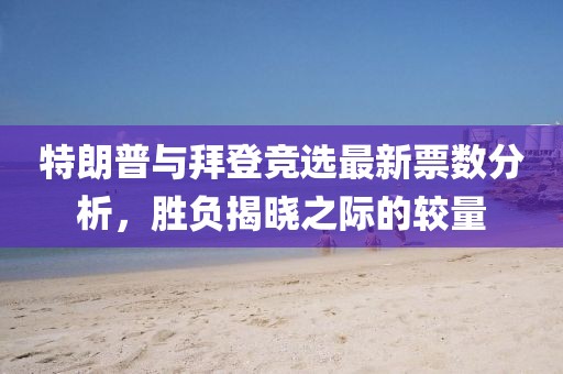 特朗普与拜登竞选最新票数分析，胜负揭晓之际的较量