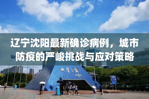 辽宁沈阳最新确诊病例，城市防疫的严峻挑战与应对策略
