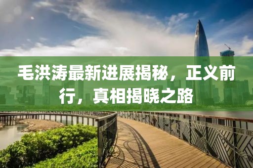 毛洪涛最新进展揭秘，正义前行，真相揭晓之路