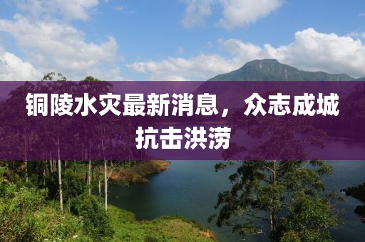 铜陵水灾最新消息，众志成城抗击洪涝
