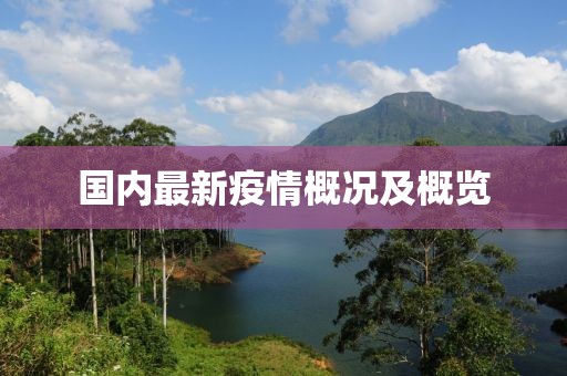 国内最新疫情概况及概览