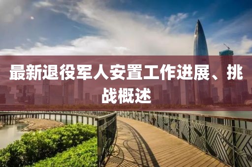 最新退役军人安置工作进展、挑战概述