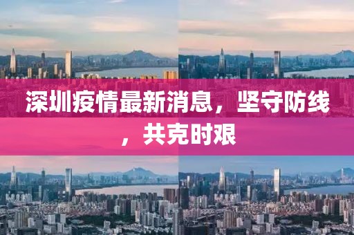 深圳疫情最新消息，坚守防线，共克时艰