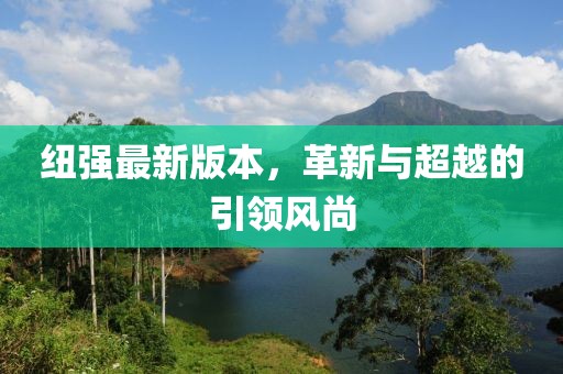 纽强最新版本，革新与超越的引领风尚