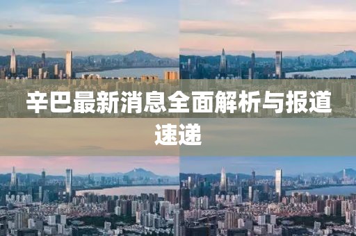 辛巴最新消息全面解析与报道速递