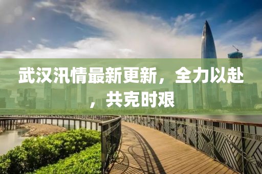 武汉汛情最新更新，全力以赴，共克时艰