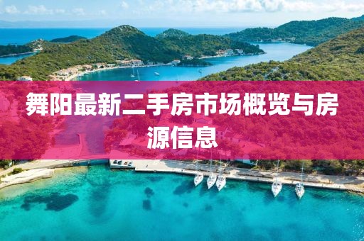 舞阳最新二手房市场概览与房源信息