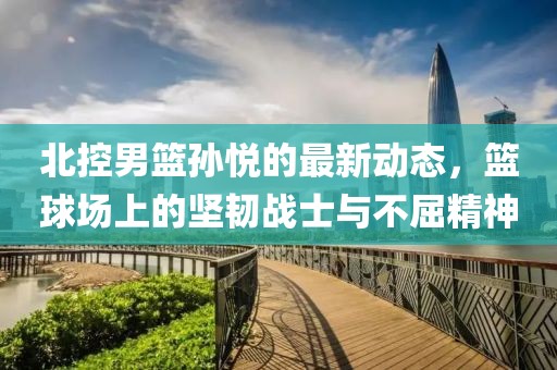 北控男篮孙悦的最新动态，篮球场上的坚韧战士与不屈精神