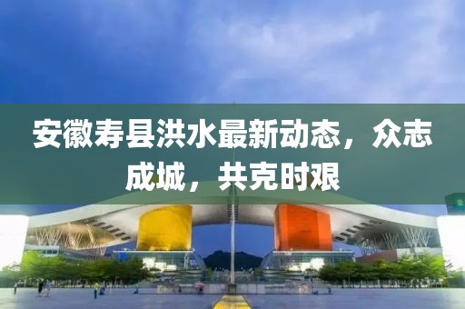 安徽寿县洪水最新动态，众志成城，共克时艰