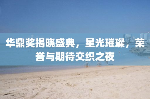 华鼎奖揭晓盛典，星光璀璨，荣誉与期待交织之夜