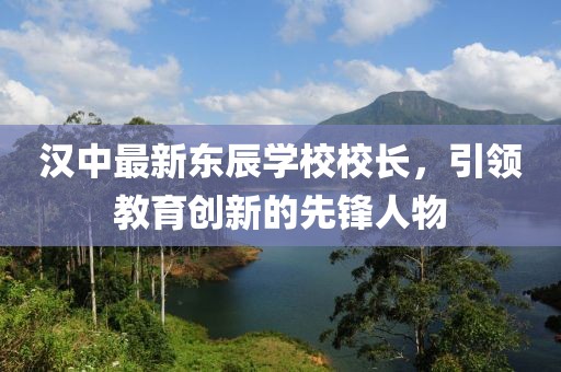 汉中最新东辰学校校长，引领教育创新的先锋人物