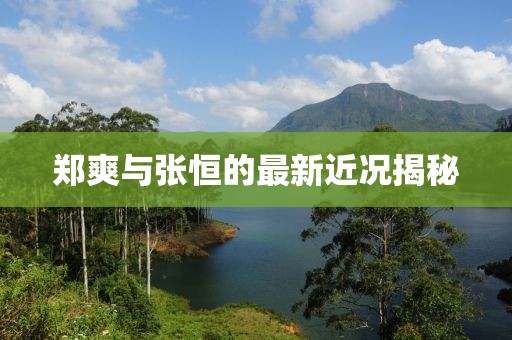 郑爽与张恒的最新近况揭秘