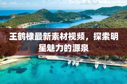 王鹤棣最新素材视频，探索明星魅力的源泉