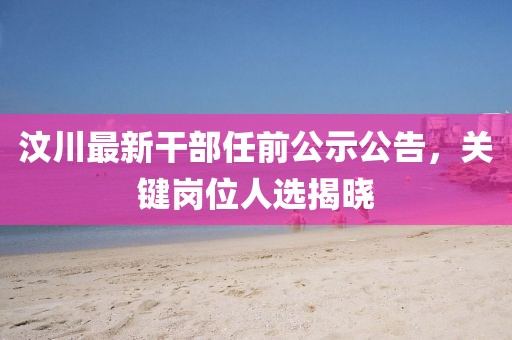 汶川最新干部任前公示公告，关键岗位人选揭晓