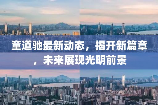 童道驰最新动态，揭开新篇章，未来展现光明前景