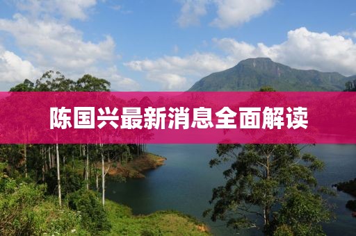 陈国兴最新消息全面解读