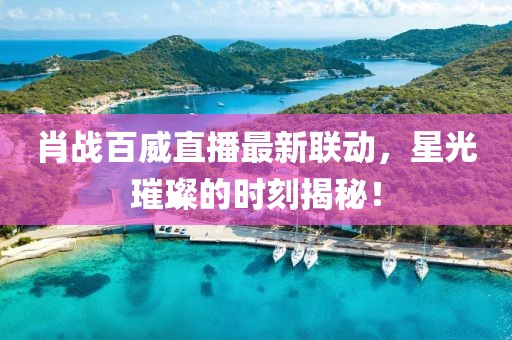 肖战百威直播最新联动，星光璀璨的时刻揭秘！