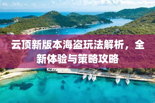 云顶新版本海盗玩法解析，全新体验与策略攻略