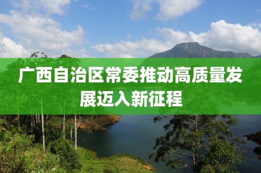 广西自治区常委推动高质量发展迈入新征程