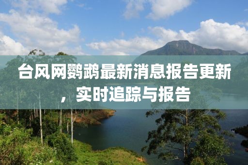 台风网鹦鹉最新消息报告更新，实时追踪与报告