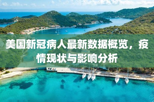 美国新冠病人最新数据概览，疫情现状与影响分析