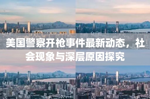 美国警察开枪事件最新动态，社会现象与深层原因探究