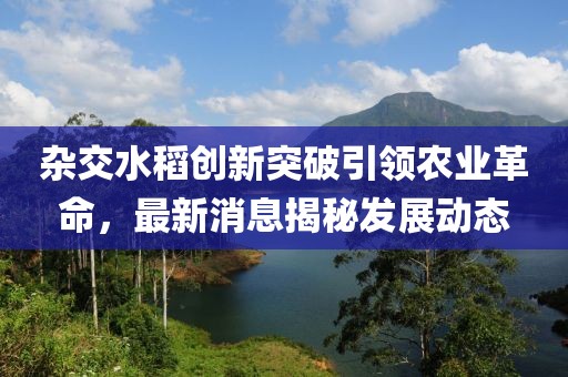 杂交水稻创新突破引领农业革命，最新消息揭秘发展动态