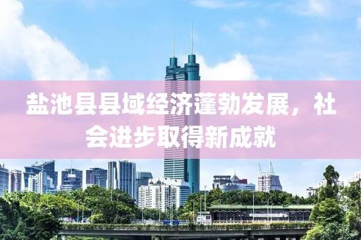 盐池县县域经济蓬勃发展，社会进步取得新成就