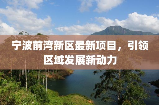 宁波前湾新区最新项目，引领区域发展新动力