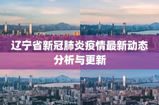 辽宁省新冠肺炎疫情最新动态分析与更新