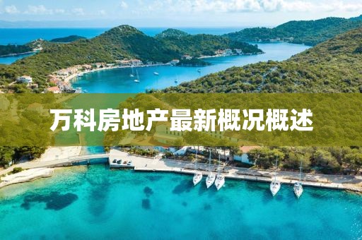 万科房地产最新概况概述