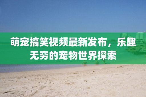 萌宠搞笑视频最新发布，乐趣无穷的宠物世界探索