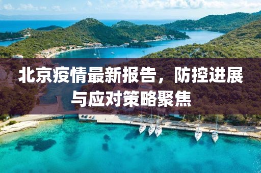 北京疫情最新报告，防控进展与应对策略聚焦