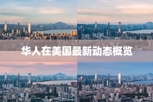 能飞光 第5页