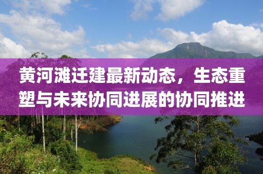 黄河滩迁建最新动态，生态重塑与未来协同进展的协同推进