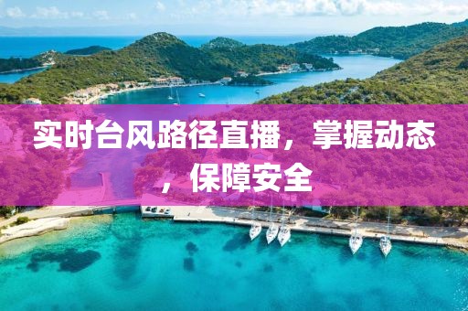 速华茂 第5页