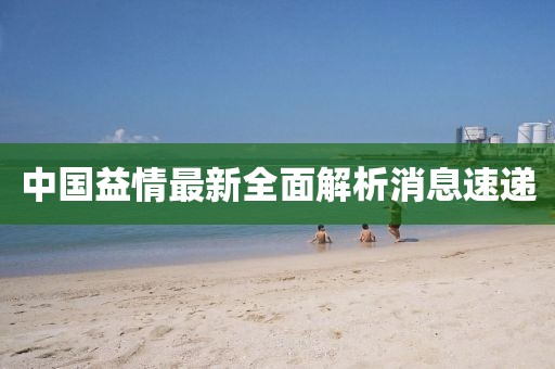中国益情最新全面解析消息速递