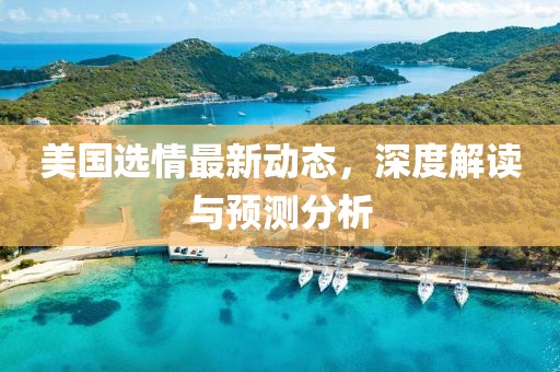 美国选情最新动态，深度解读与预测分析