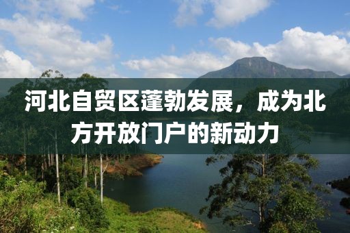 河北自贸区蓬勃发展，成为北方开放门户的新动力