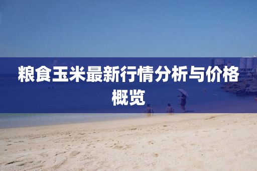 粮食玉米最新行情分析与价格概览